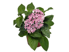 ������ �������� �������� 12�25. 179,04 ���.jpg