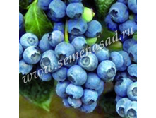 �������� ���������� 71.jpg