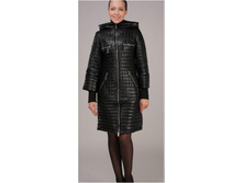 2700 �, ������ PY 152 OstRich