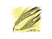 338 ���.��������� ��������� �����