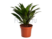 ������� �������� 12�25. 189 ���.jpg