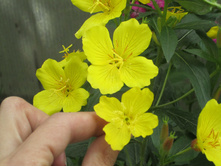 ���� 2014 215.jpg