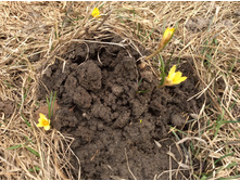 ����� �������…