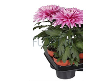 ���������� ��������� ���� 13�35. 209,99 ���.jpg