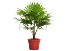 ��������� 12�30. 547,37 ���.jpg