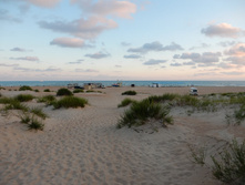 ���� ����, ���� 2015�