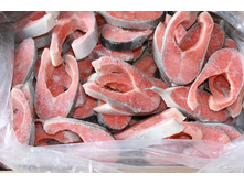 ������ ���� �������� ������ ����� !!!