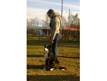 IMG 20160424 171829.jpg