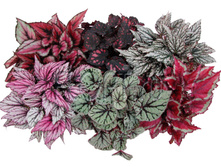 ������� ������ ������ 13�25. 259,35 ���.jpg