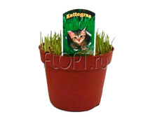 ����� ��� ����� 13�10. 74,45 ���.jpg