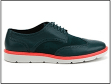 ���� 55,6 ����.