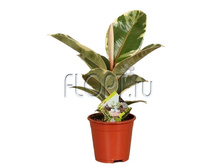 ����� ������ 14�40. 212,58 ���.jpg