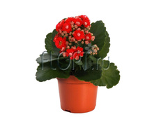 �������� ������� 7�15. 97,65 ���.jpg