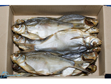 ��� �������.jpg