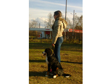 IMG 20160424 171838.jpg