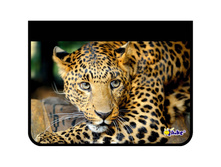 ����� ��� ����� 1 ���������, �4 �������, ������, �� ������ 145,77.jpg