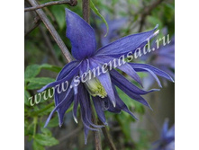 �������� ������������ ������.jpg