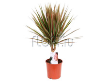 ������� ������� 1���. 12�45. 173,25 ���.jpg