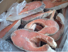 ������ ����� �������