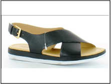 ���� 42,76 ����.