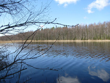 IMG 7553.jpg