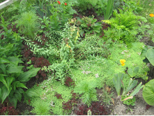 ���� 2014 221.jpg