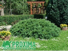 ������������ �������� ��� ����� (�9).jpg