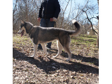 DSC07879.JPG