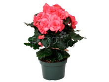 ������� ������� ������� 13�35. 218,4 ���.jpg