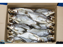 ������� �������.jpg