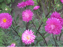 ����� 1020.jpg