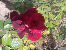 2015-09-20 ���������
