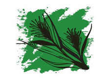 182 ���.������� ����� ����������