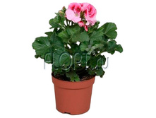 ���������� ����������� ����� 12�20. 279,05 ���.jpg