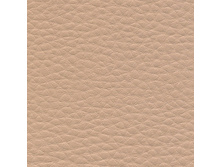 ������� ����� �������.jpg