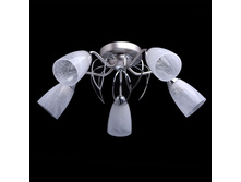 676011705 2675�.jpg