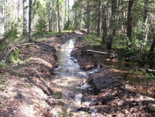 IMG 7623.jpg