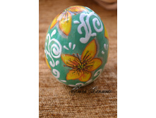 ���� ���������� "������ �����"