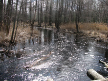 IMG 7545.jpg