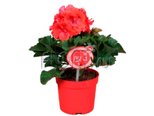 ���������� ����������� ����� ������ 12�25. 269,48 ���.jpg