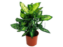 ����������� ������ 17�60. 324,45 ���.jpg