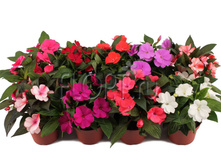 ��������� ��� ������ ���� 13�25. 131,88 ���.jpg