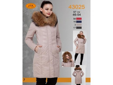 3600 �, ������ 43025 BD