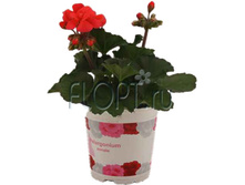 ���������� ��������� ����� 10�20. 143,48 ���.jpg