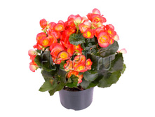 ������� �������� 13�35. 234,15 ���.jpg