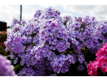 ����� -170�.jpg