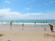 ���� ����, ���� 2015�