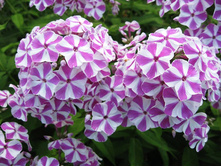 ��������-170�