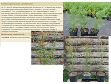 ����������� �������� 110-140�� 5� 1000���.jpg