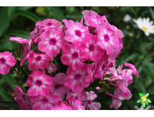 �������-170�